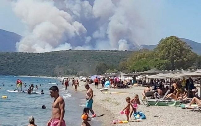 В Греции эвакуировали три деревни из-за масштабного лесного пожара 1