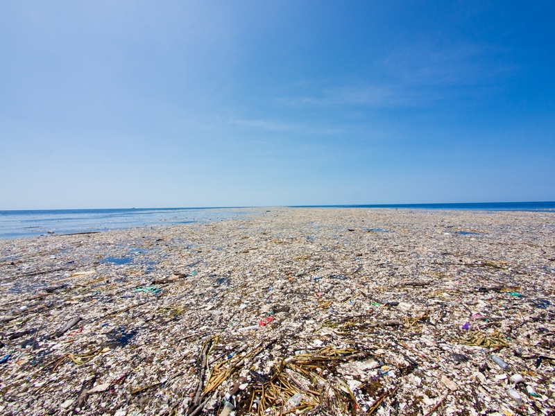 Растущий в Тихом океане мусорный континент достиг уже размера Франции 2