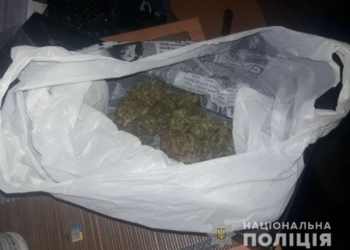 У жителя Вознесенского района обнаружили плантацию конопли и каннабис (ФОТО, ВИДЕО)