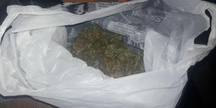 У жителя Вознесенского района обнаружили плантацию конопли и каннабис (ФОТО, ВИДЕО)