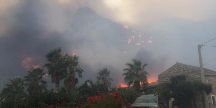 Заповедник на Сицилии уничтожен пожаром (ФОТО)