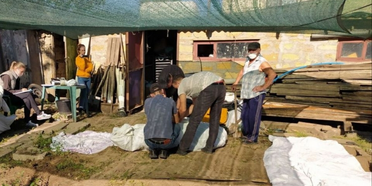 В Центральном районе Николаева в День города изъяли 28 кустов конопли (ФОТО)