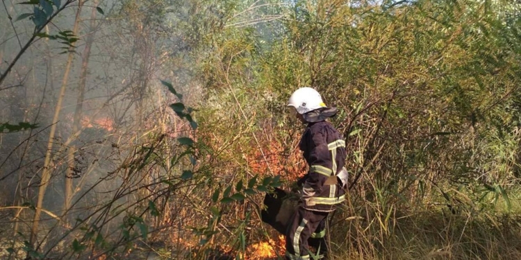 На Николаевщине за сутки выгорело более 29 га открытых территорий (ФОТО)