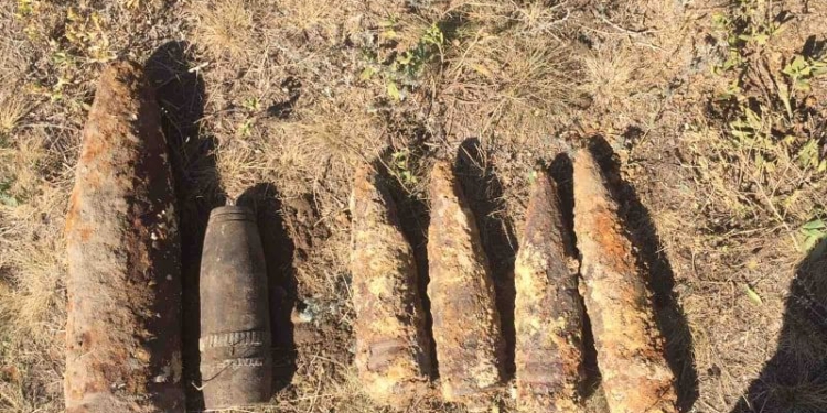 На Николаевщине обезвредили 6 старых артснарядов (ФОТО)