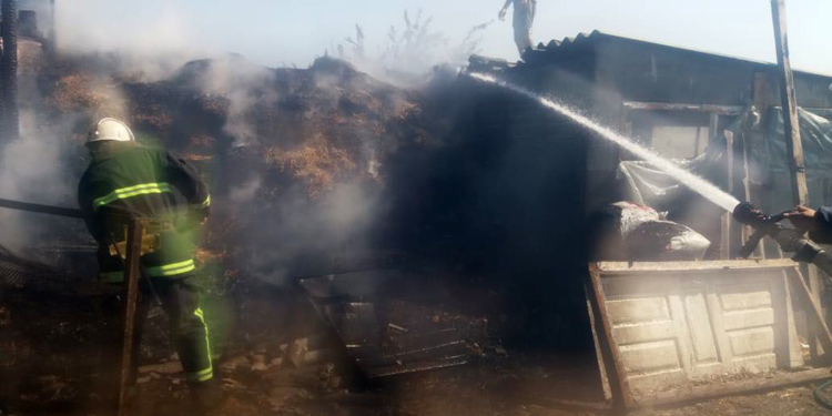 Николаевские пожарные спасли от огня 70 тонн сена (ФОТО)