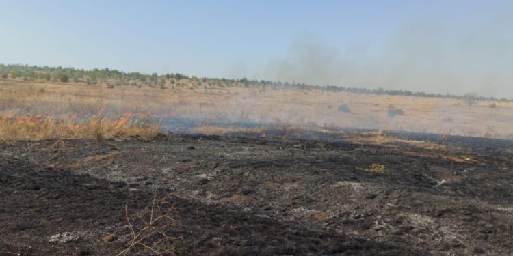 На Николаевщине снова тушат пожар в заповеднике “Еланецкая степь”