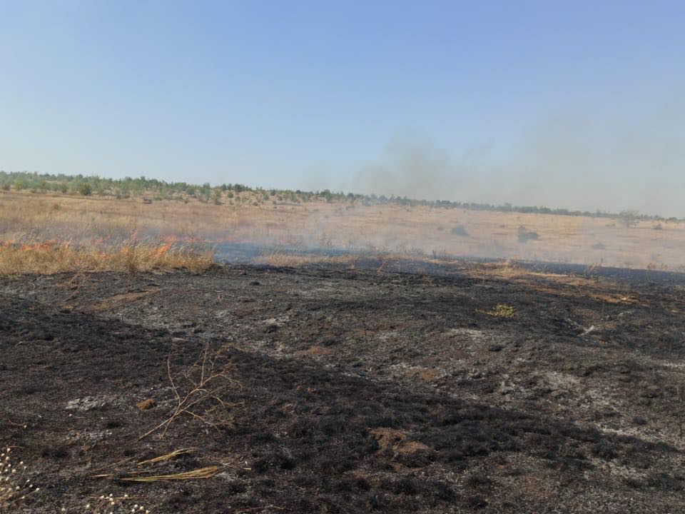На Николаевщине снова тушат пожар в заповеднике "Еланецкая степь" 1