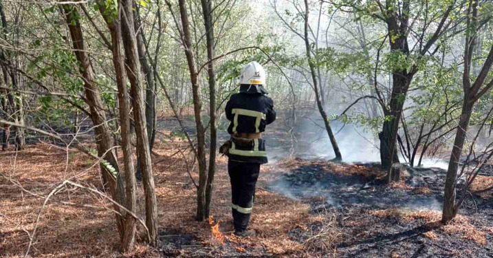 На Николаевщине горела лиственная подстилка в лесном урочище (ФОТО)