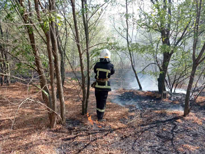 На Николаевщине подожгли еще одно урочище, всего 12 пожаров в экосистемах за сутки 1