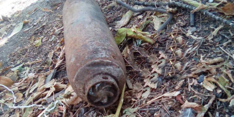 В Николаеве нашли гранату, а в Первомайском районе – авиационную бомбу (ФОТО)
