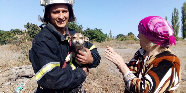На Николаевщине спасатели достали собаку, упавшую в заброшенный колодец (ФОТО)