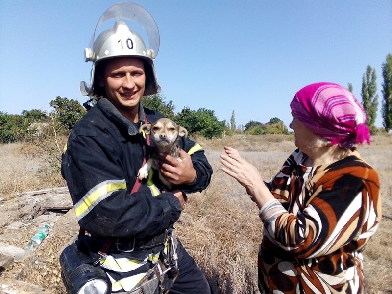 На Николаевщине спасатели достали собаку, упавшую в заброшенный колодец (ФОТО)
