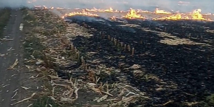 На Николаевщине сжигатель стерни заплатит штраф 3 тыс.грн.