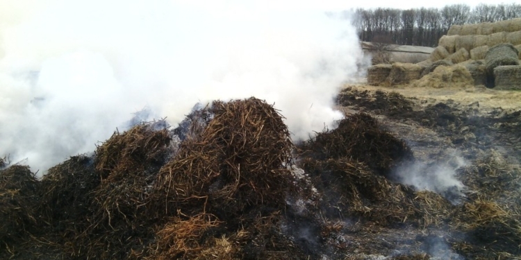 В Явкино сгорело 3 тонны соломы (ФОТО)