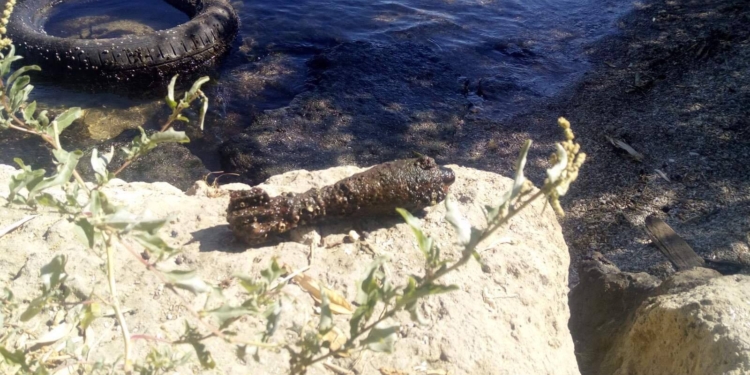 На Лагерном Поле в Николаеве нашли минометную мину (ФОТО)