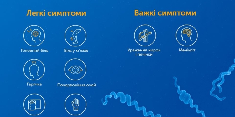 В Николаеве 28-летняя женщина попала в реанимацию больницы с лептоспирозом