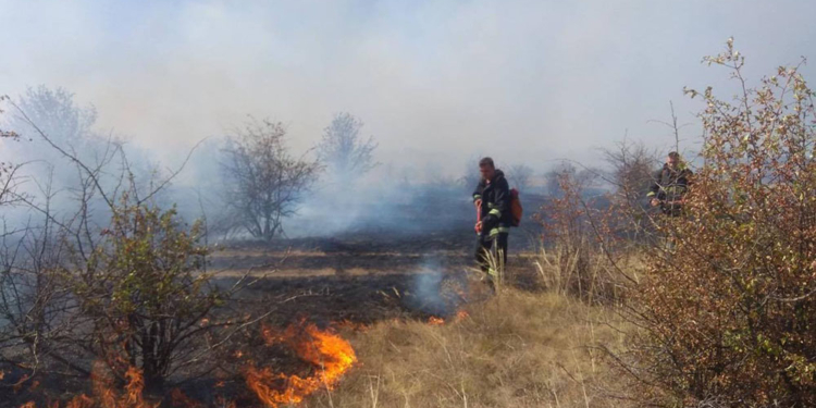 За прошедшие сутки спасатели Николаевщины справились с 8 пожарами сухостоя (ФОТО)