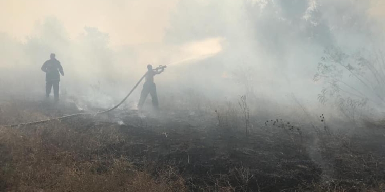 На Николаевщине подожгли камыш – огонь распространился на 4,5 га (ФОТО)