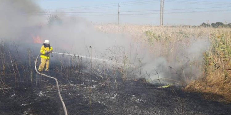 Неизвестные подожгли Матвеевский лес, в целом по Николаевской области за сутки потушили 20 пожаров на открытой территории (ФОТО)