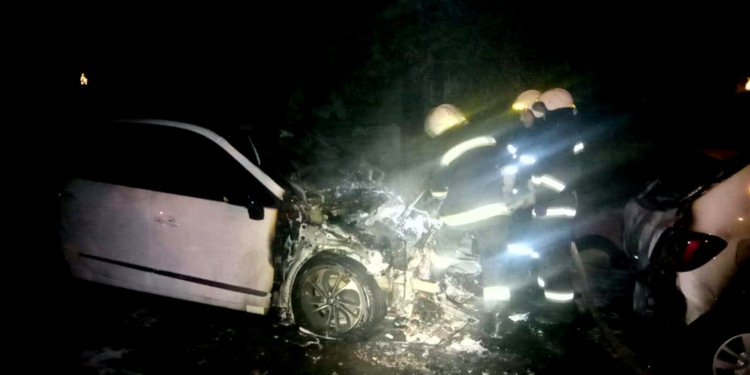 В Николаеве ночью подожгли Renault