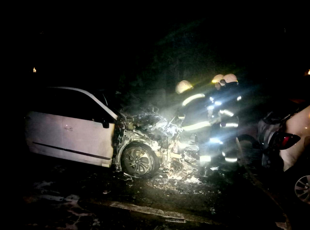 В Николаеве ночью подожгли Renault 1