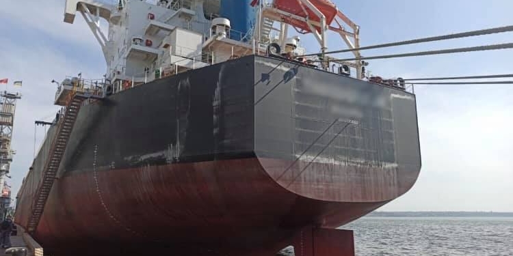 В Николаевском порту пограничники нашли запрещенные психотропы на иностранном судне (ФОТО)