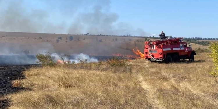 На Николаевщине почти пять часов тушили масштабный пожар в степи у села Михайловка (ФОТО)