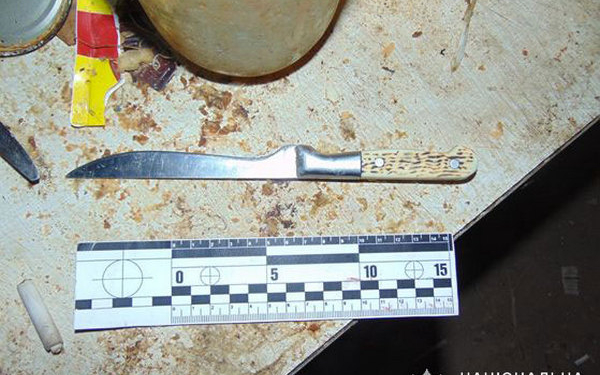 Брат на брата: в Николаевской области совместное употребление спиртного завершилось поножовщиной (ФОТО)