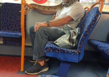 Британец надел живую змею вместо маски