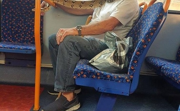 Британец надел живую змею вместо маски