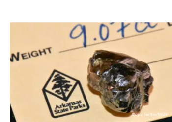 Американец нашел в национальном парке Арканзаса “стекляшку”, которая оказалась алмазом 9,07 карата