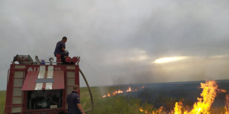 Кустарники, камыш, стерня: на Николаевщине за сутки выгорело более 21 га открытых территорий (ФОТО)