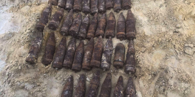 Как грибы после дождя: в Николаевском районе в двух местах нашли 37 артснарядов (ФОТО)