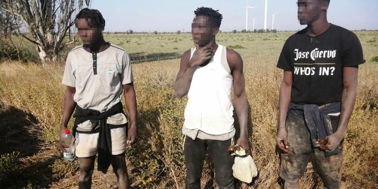 Как в кино. Нелегалы-гвинейцы добрались вплавь до очаковского берега