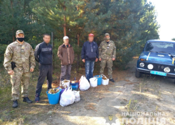 Из зоны отчуждения ЧАЭС пытались вывезти радиационные грибы и древесину