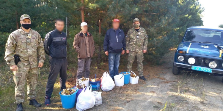 Из зоны отчуждения ЧАЭС пытались вывезти радиационные грибы и древесину