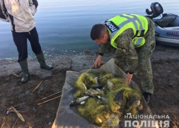 Полицейские разоблачили браконьера в Николаеве