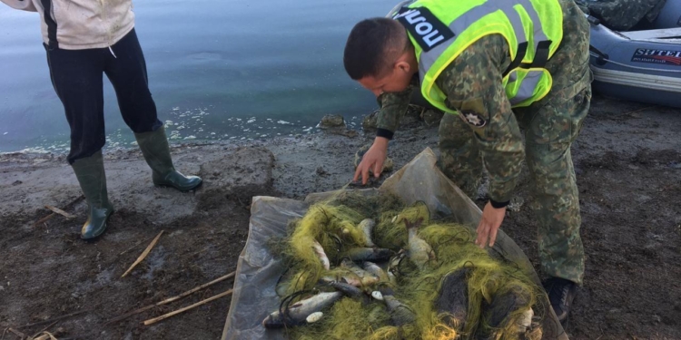 Полицейские разоблачили браконьера в Николаеве