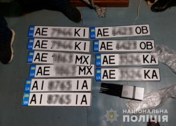 В Николаеве поймали и поместили под стражу серийного автовора (ФОТО)