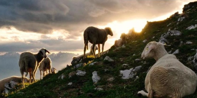 Украине тоже есть чем гордиться: объявлены победители премии Natura 2000 Award этого года