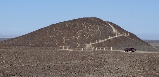 Они тоже любили котиков: в Перу нашли новый геоглиф (ФОТО)