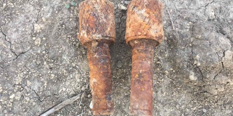 Сажала деревья и нашла две гранаты: на Николаевщине обезвредили взрывоопасные находки (ФОТО)