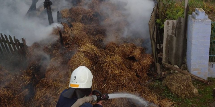 Как корова языком слизала: 6 тонн сена и соломы сгорели, но пожарным Николаевщины отстояли дом и хозпостройку (ФОТО)