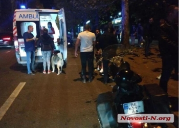 В Николаеве на пешеходном переходе сбили мужчину с собакой (ВИДЕО)