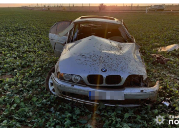 На Николаевщине BMW слетел в кювет: водитель погиб