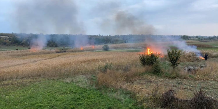 На Николаевщине продолжаются поджоги – спасателям пришлось тушить огромный пожар камыша