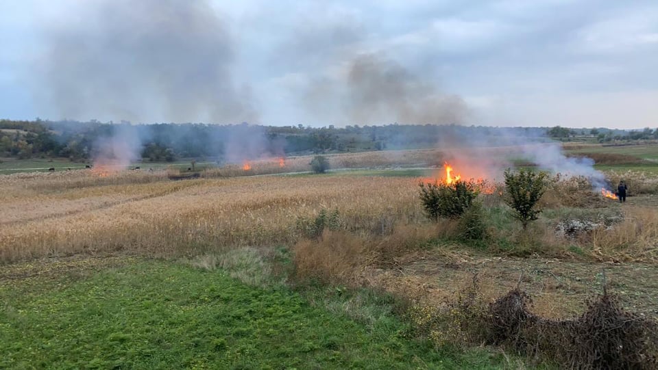 На Николаевщине продолжаются поджоги – спасателям пришлось тушить огромный пожар камыша 1