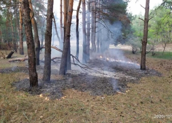 Николаевские спасатели тушили пожар в Балабановском урочище (ФОТО)