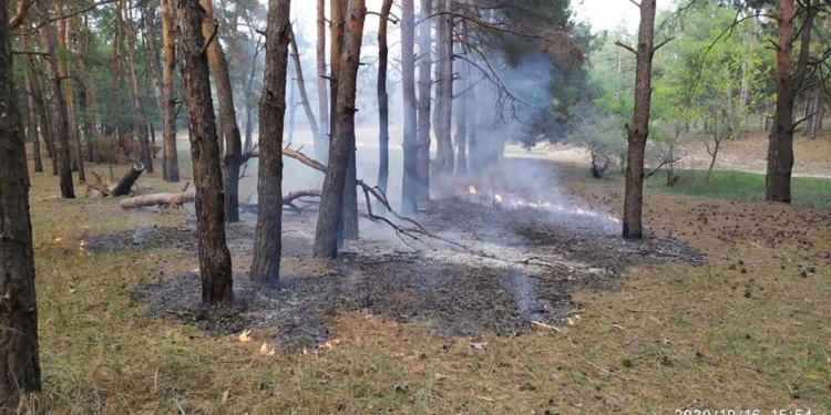 Николаевские спасатели тушили пожар в Балабановском урочище (ФОТО)