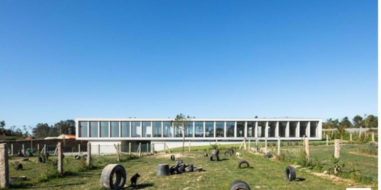 Можно только позавидовать: в Португалии открыли отель люкс для кошек и собак (ФОТО)